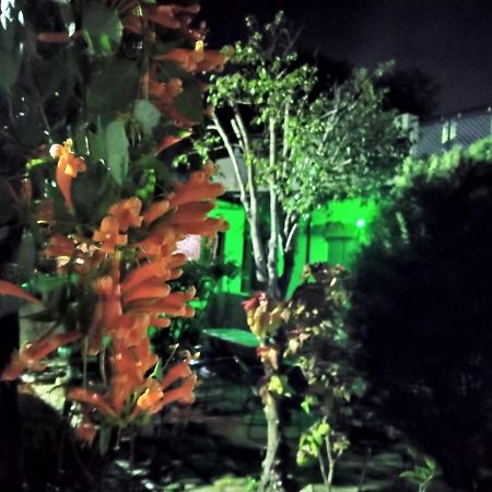 Last Chance Cafe And Guest House Рішикеш Екстер'єр фото