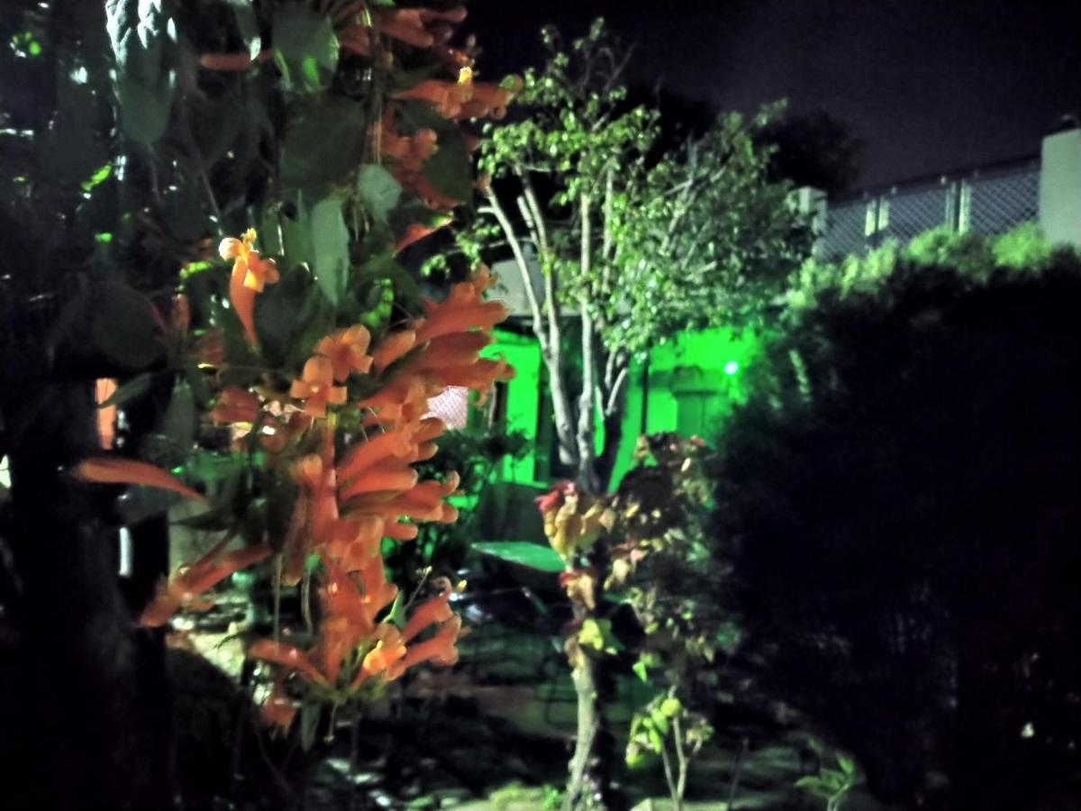 Last Chance Cafe And Guest House Рішикеш Екстер'єр фото